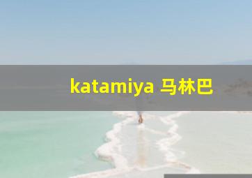 katamiya 马林巴